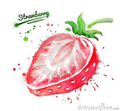 Watercolor illustration of strawberry Cartoon Illustration