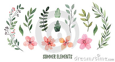 Watercolor illustration. Summer foliage. Botanical collection of Cartoon Illustration