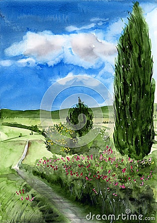 Watercolor illustration of a summer landscape with fields, green trees, flowering bushes by a country road Cartoon Illustration