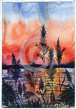 Watercolor illustration sunset evening ears spikes flowers violet purple red orange blue colors Cartoon Illustration