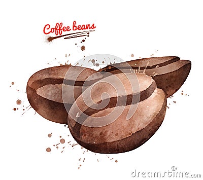 Watercolor illustration of three coffee beans Cartoon Illustration