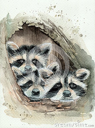 Watercolor illustration of three cute fluffy raccoons Cartoon Illustration