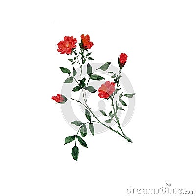 Watercolor illustration of twigs with green leaves and red small flowers. Cartoon Illustration