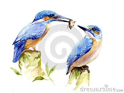 Watercolor illustration with two birds kingfishers. Stock Photo