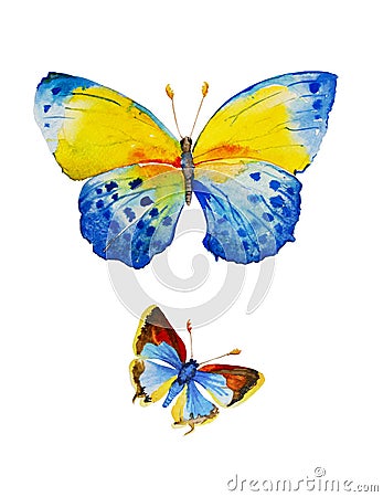 Watercolor illustration of two blue butterflies isolated on white background Cartoon Illustration