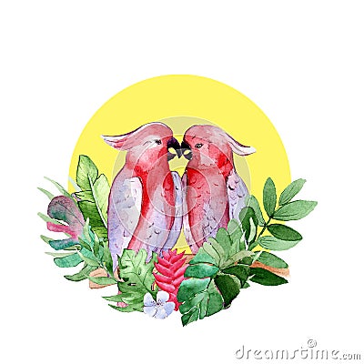 Watercolor illustration of two pink cockadoo parrots sitting on a branch with tropical flowers and leaves. Isolate. Postcard templ Cartoon Illustration