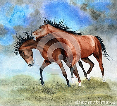 Watercolor illustration of two running playful brown horses Cartoon Illustration