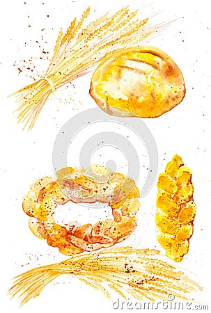 Watercolor illustration of wheat ears, different buns and bread among abstract drops of grains. Isolated on white background Cartoon Illustration