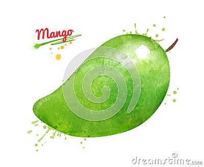 Watercolor illustration of green Mango Cartoon Illustration