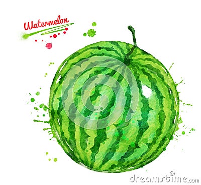 Watercolor illustration of whole watermelon Cartoon Illustration