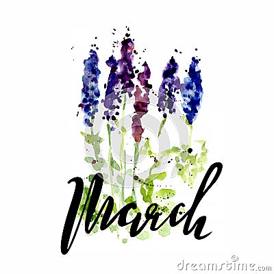 Watercolor illustration of wildflowers, painting lupines on a white and colored background with letterinf of march Cartoon Illustration