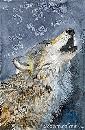 Watercolor illustration of a wolf with fluffy grey fur Cartoon Illustration