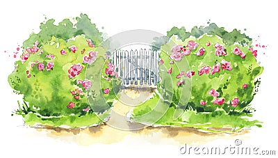 Watercolor illustration of a wooden garden gate with rose bushes Cartoon Illustration