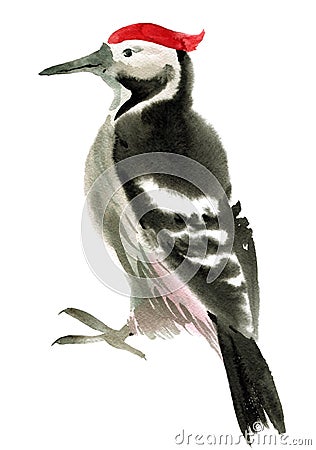 Watercolor illustration of woodpecker Cartoon Illustration