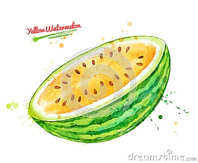 Watercolor illustration of yellow watermelon Cartoon Illustration