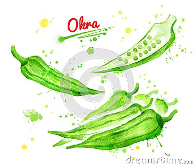 Watercolor of illustrations of okra Cartoon Illustration