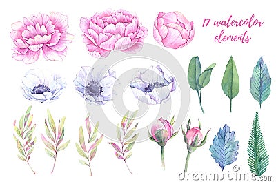 Watercolor illustrations. Spring leaves, peonies and anemones fl Cartoon Illustration