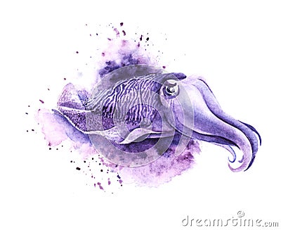 Watercolor image of cartoon purple cuttlefish on white backdrop. Hand drawn illustration of cute devilfish with thick tentacles Cartoon Illustration
