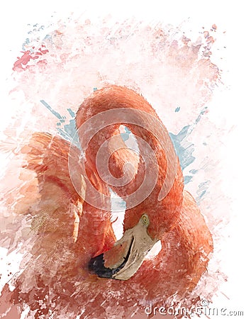 Watercolor Image Of Flamingo Bird Stock Photo