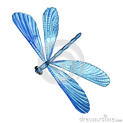 Watercolor image of a flying blue dragonfly. Cartoon Illustration