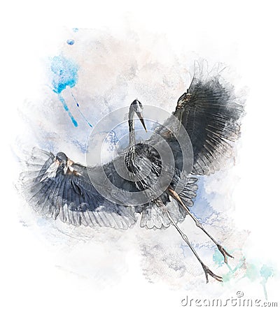 Watercolor Image Of Great Blue Heron Stock Photo