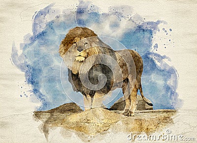Watercolor image of male lion standing proudly on a cliff rock looking at the camera with blue sky in background. Stock Photo