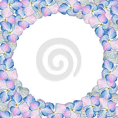 Watercolor inflorescence Hydrangea circle design with place for text. May be used for textile decoration print Stock Photo