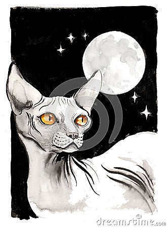 Sphinx cat and starry sky Cartoon Illustration