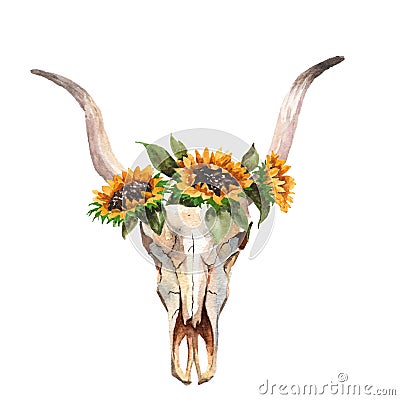 Watercolor isolated bull`s head with flowers and feathers on white background. Boho style. Skull for wrapping, wallpaper Stock Photo