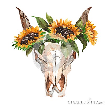 Watercolor isolated bull`s head with flowers and feathers on white background. Boho style. Skull for wrapping, wallpaper Stock Photo