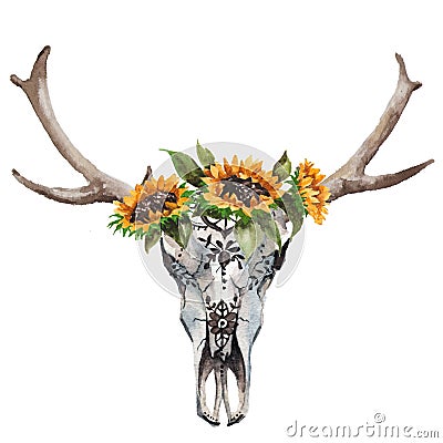 Watercolor isolated bull`s head with flowers and feathers on white background. Boho style. Skull for wrapping, wallpaper Stock Photo