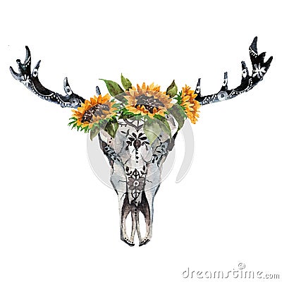 Watercolor isolated bull`s head with flowers and feathers on white background. Boho style. Skull for wrapping, wallpaper Stock Photo