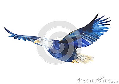 Watercolor isolated illustration of a bird eagle in white backg Cartoon Illustration
