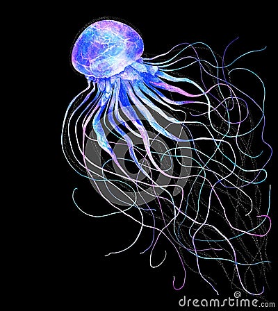 Watercolor jellyfish in modern bright neon colors isolated on black background underwater vivid illustration in large Cartoon Illustration