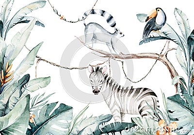 Watercolor jungle illustration of a lemur and toucan on white background. Madagascar fauna zoo exotic lemurs animal Cartoon Illustration