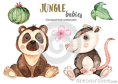 Watercolor jungle set with baby possum and spectacled bear Stock Photo