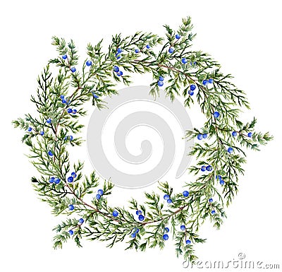 Watercolor juniper wreath. Hand painted evergreen branch with berries on white background. Botanical illustration for Cartoon Illustration