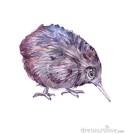 Watercolor kiwi bird animal Cartoon Illustration