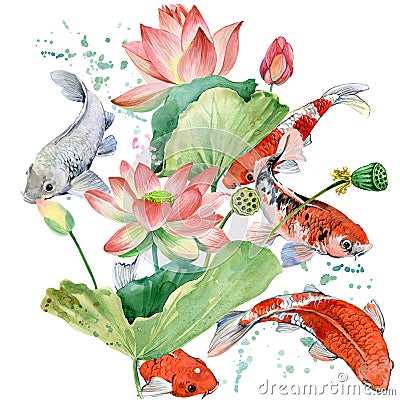 Watercolor koi carp and lotus flower. watercolor fish background illustration Cartoon Illustration