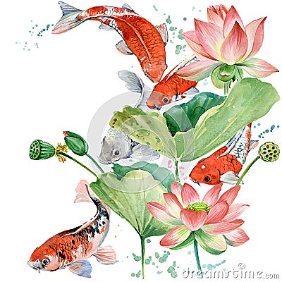 Watercolor koi carp and lotus flower. watercolor fish background illustration Cartoon Illustration