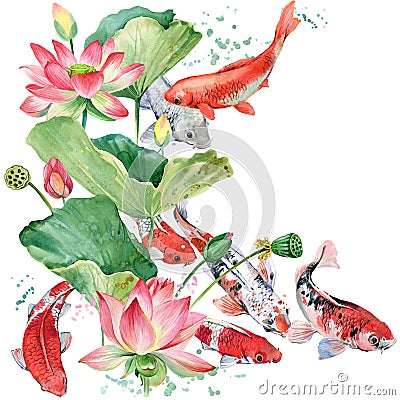 Watercolor koi carp and lotus flower. watercolor fish background illustration Cartoon Illustration