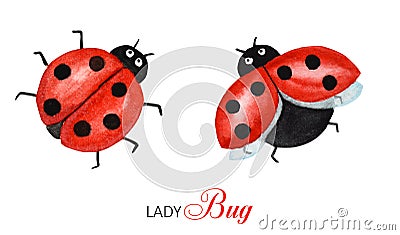 Watercolor ladybug set, flying bright cartoon insects. Funny red ladybird in flight. Isolated on white background Stock Photo