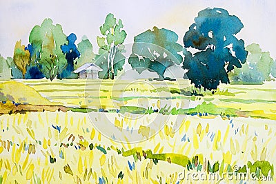 Watercolor landscape original painting colorful of cottage, rice field. Stock Photo