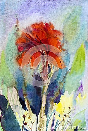 Watercolor landscape painting on paper colorful of canna lily flower Stock Photo