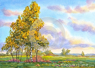 Watercolor landscape. The trees in the evening field Stock Photo