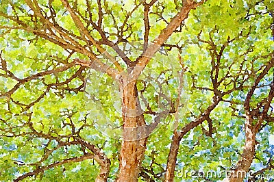 Watercolor of large tree in garden Stock Photo