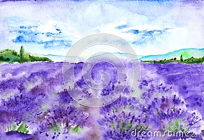 Watercolor lavender fields nature France Provence landscape Stock Photo