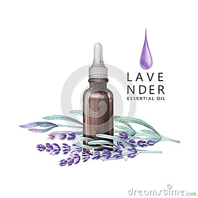Watercolor lavender oil Stock Photo