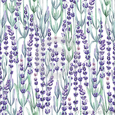 Watercolor lavender pattern Stock Photo