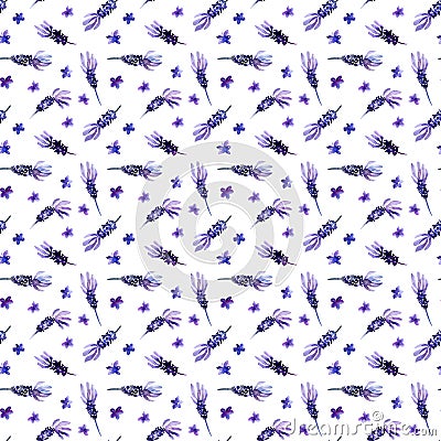 Watercolor Lavender seamless pattern on white background. Hand drawn, botanic design Stock Photo